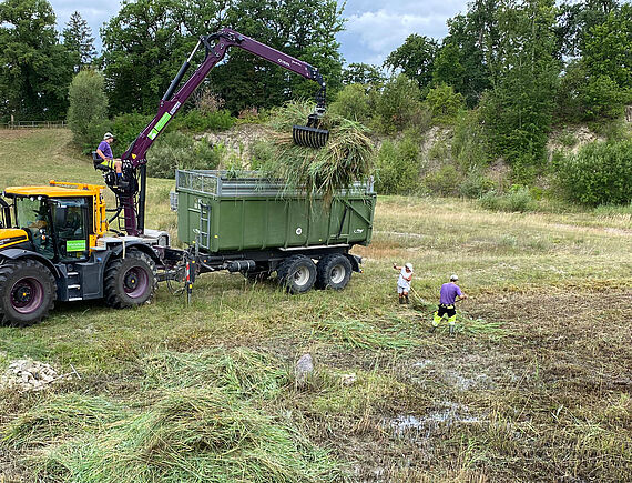 Sägesser Urs Naturarbeiten